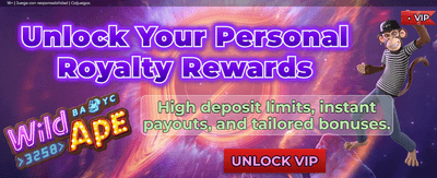 Premium Casino Gaming Experience